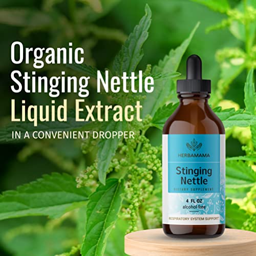 HERBAMAMA Stinging Nettle Root Tincture - Organic Stinging Nettle Root Liquid Extract - Urtica Dioica Herbal Drops Supplement - 4 fl oz