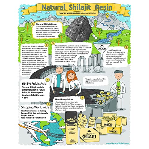 NATURAL SHILAJIT Resin - 10 Gram | Shilajit Supplement with Fulvic Acid & Trace Minerals, Plant Based Nutrients for Energy, Immune Support & Vitality | Pure & Organic Gold Grade Shilajit Resin (A+